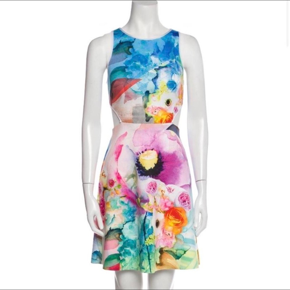 Clover Canyon Fluorescent Rose Cut Out Neoprene Dress (S)